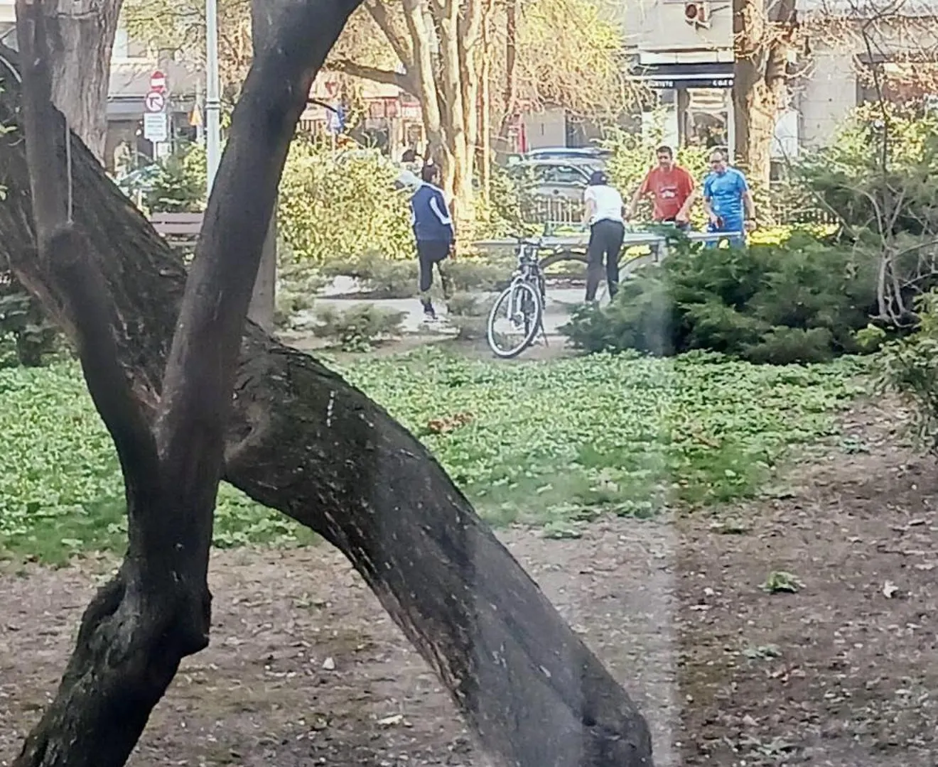 דירות The House In The Park בוקרשט 0*,
