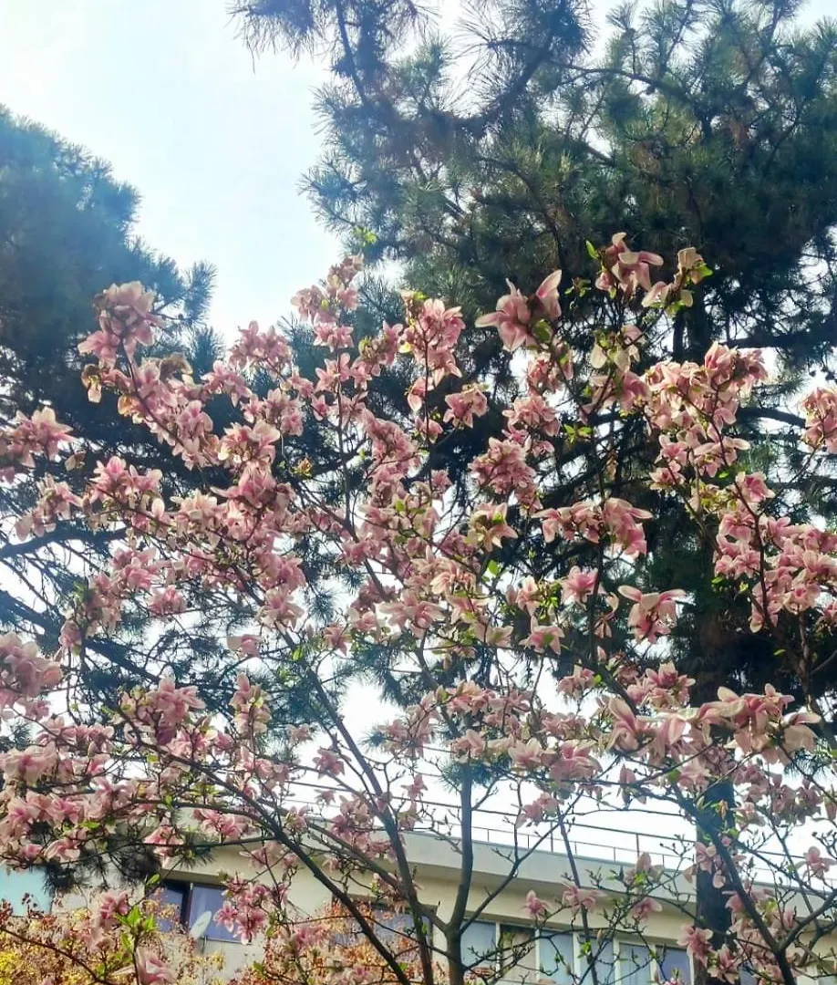 דירות The House In The Park בוקרשט 0*,