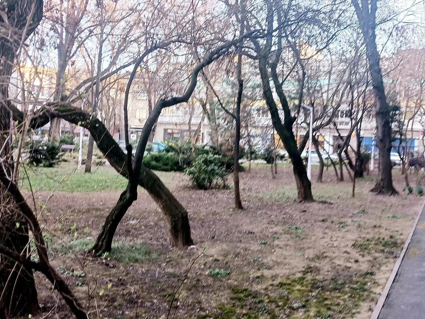 The House In The Park Bucharest Apartment România