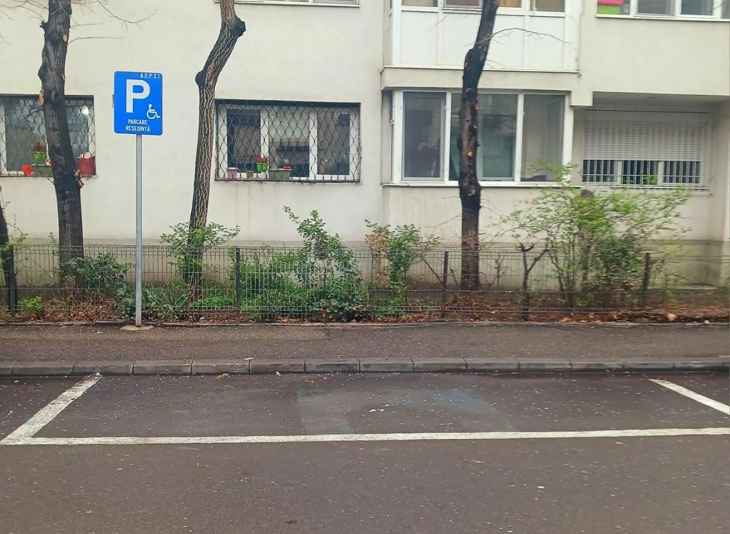 The House In The Park Bucharest Apartment