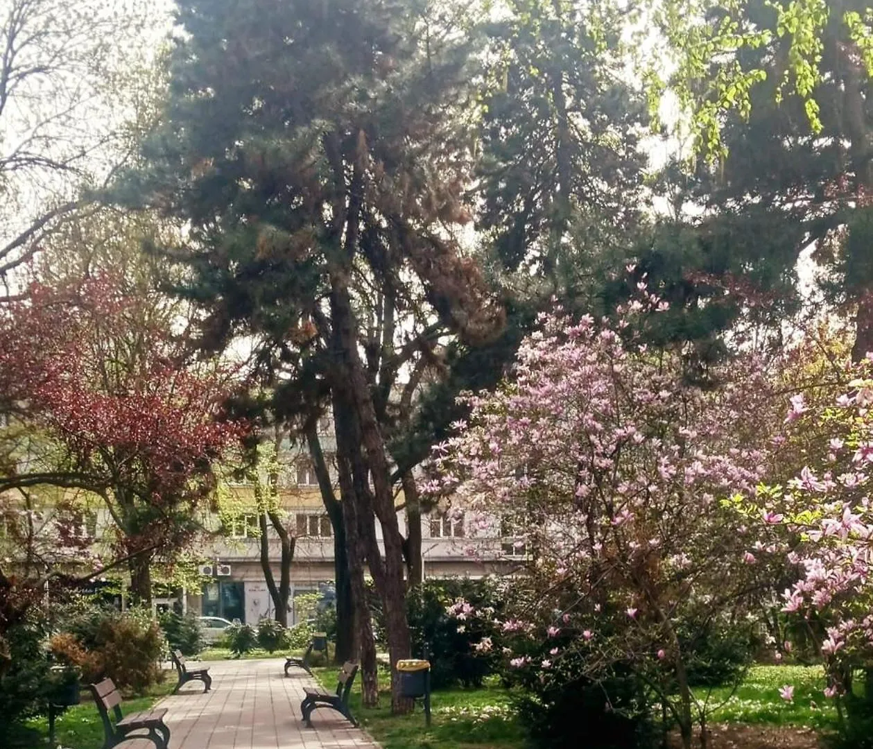 The House In The Park Bucharest Apartment