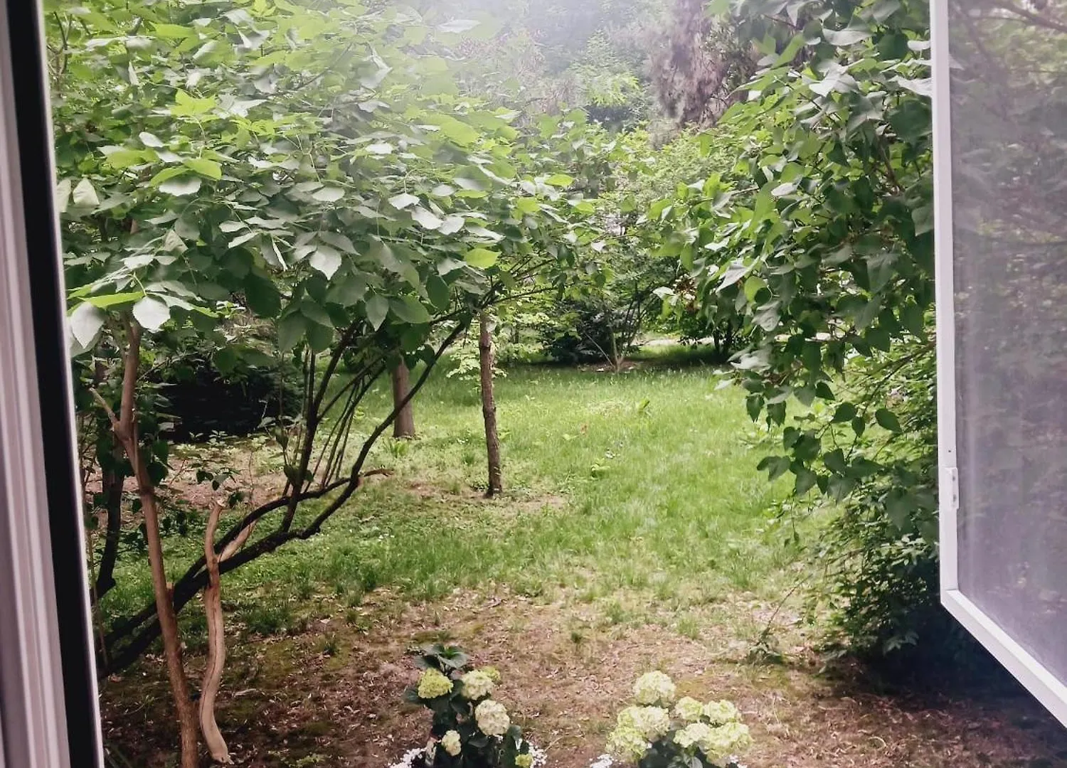 The House In The Park Bucharest Apartment